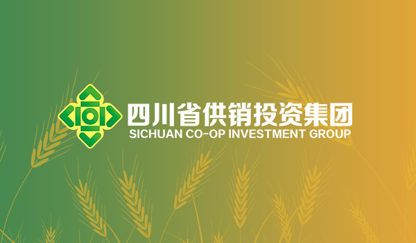 四川省供銷社監(jiān)事會召開2025年第1次省屬社有企業(yè)違規(guī)追責(zé)工作調(diào)度會