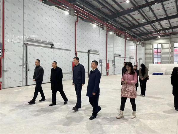 中國果品流通協會會長魯芳校一行到四川供銷為農服務(資中)產業園調研